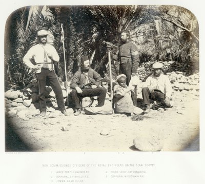 Non Commissioned Members of the Royal Engineers on the Sinai Survey, 1868 by Sgt. James M. McDonald